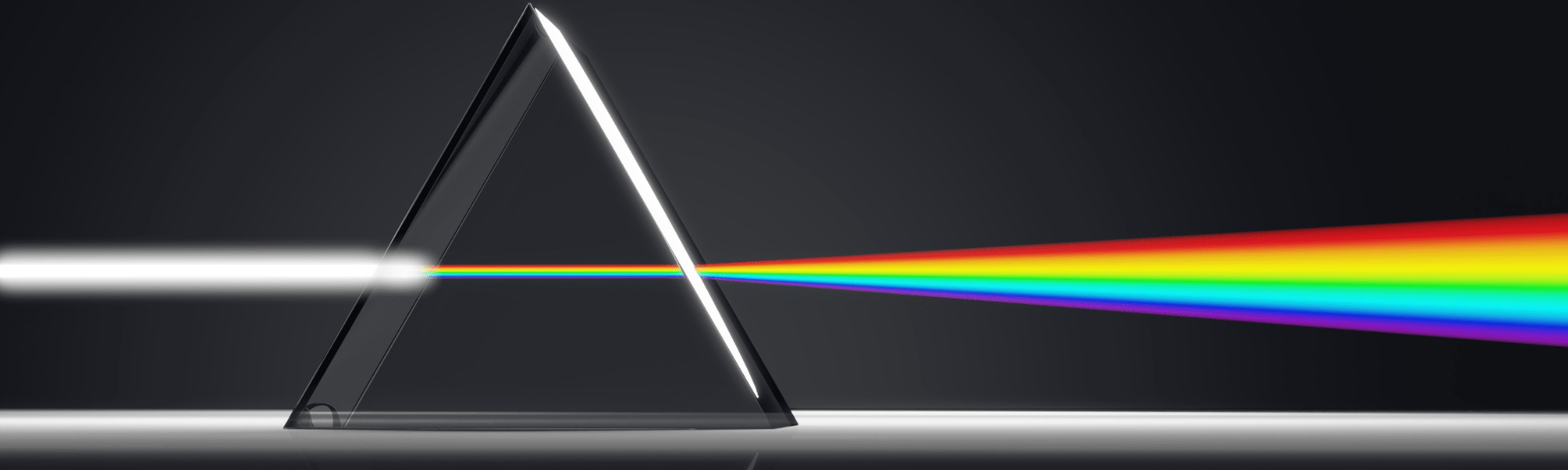 Why Do We Make Bad Decisions?